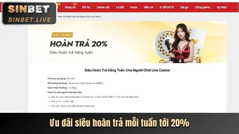 Phân tích các chương trình khuyến mãi We1win, đừng bỏ lỡ